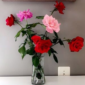 Meet your Posher, Diana